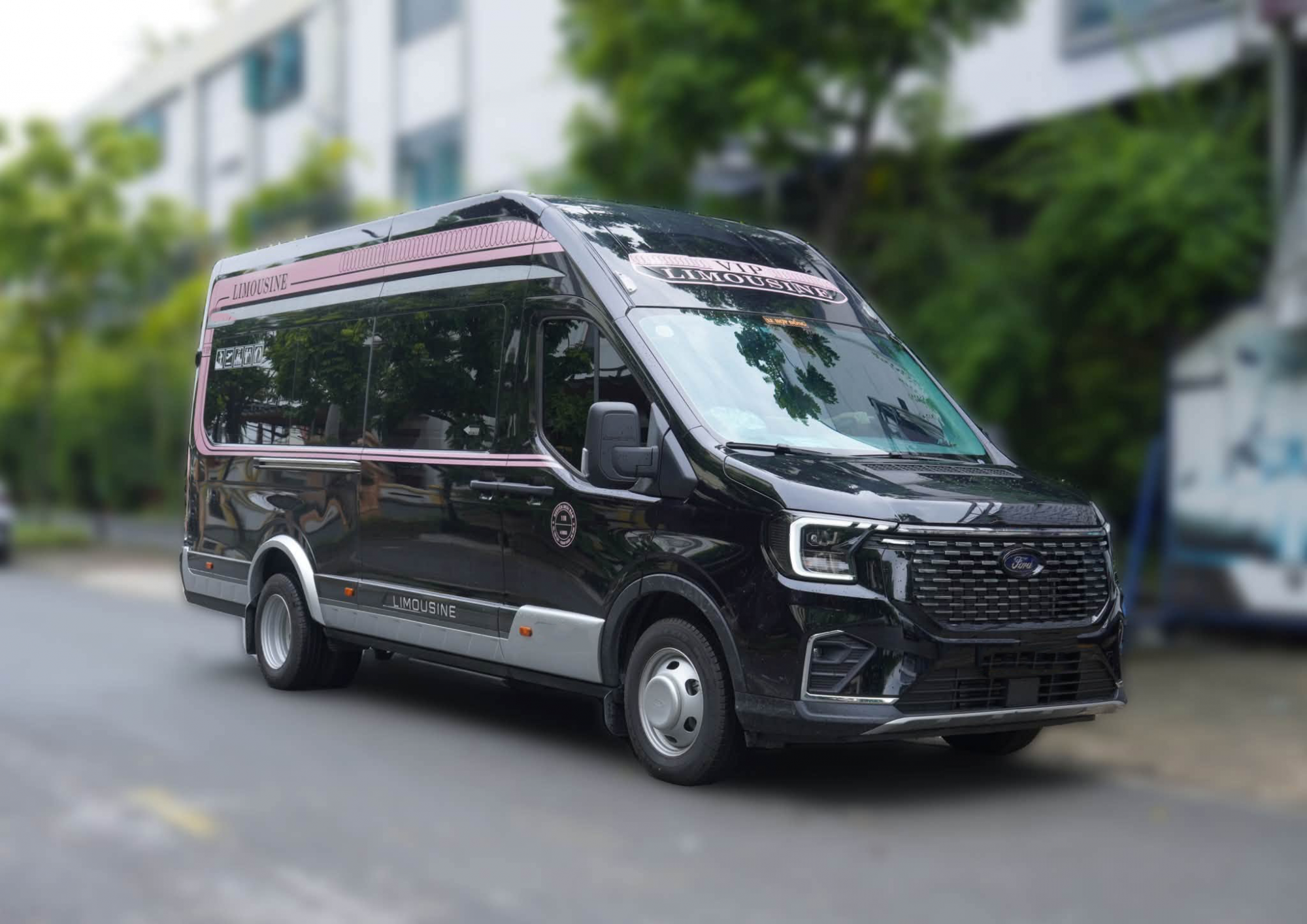 Thuê Xe Limousine 11 Chỗ Đi Ninh Bình | Xe Riêng Tiện Nghi